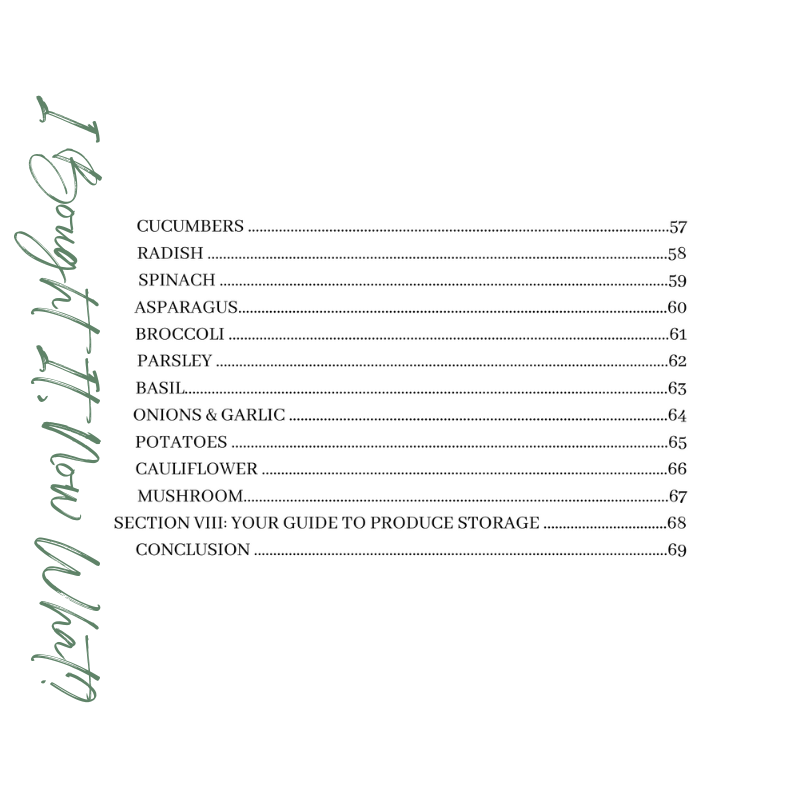 i-bought-it-now-what-table-of-contents-page-3