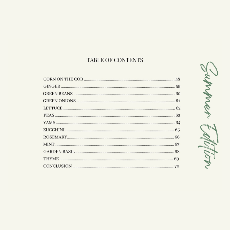 i-bought-it-now-what-summer-edition-table-of-contents-page-3