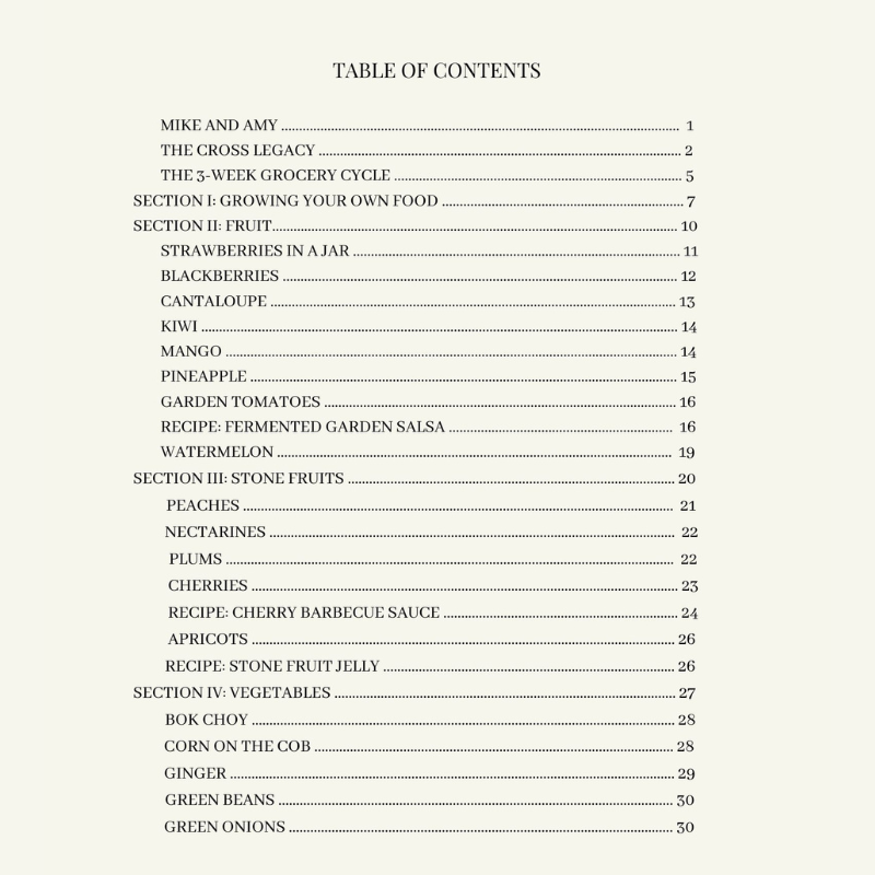 i-bought-it-now-what-summer-edition-table-of-contents-page-1