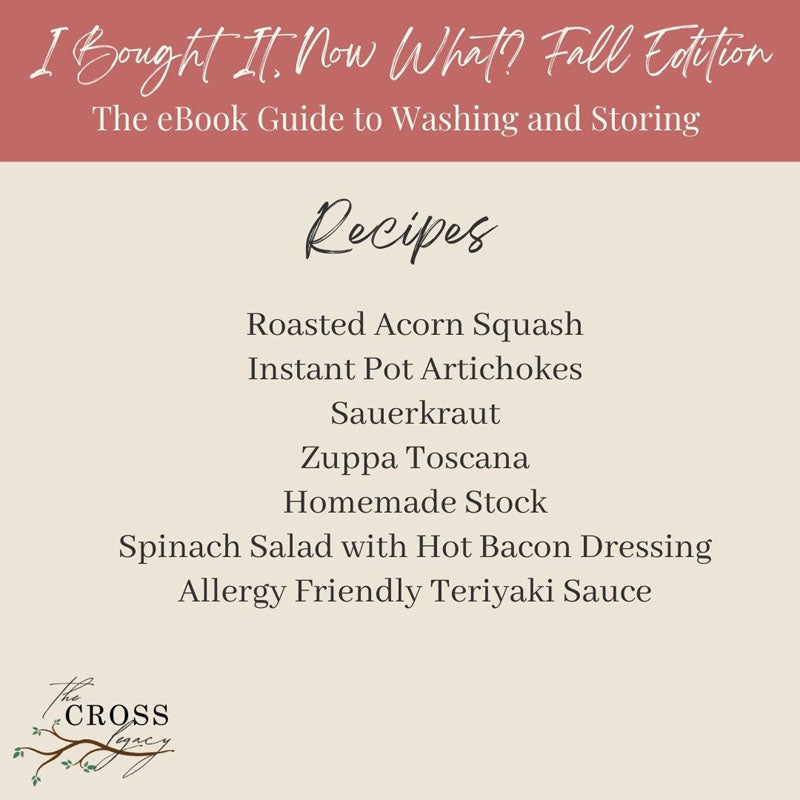 Graphic showing a list of all the Recipes included in the 'I Bought It, Now What? Fall Edition' eBook