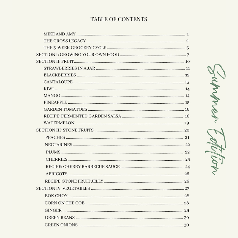 i-bought-it-now-what-summer-edition-table-of-contents-page-1