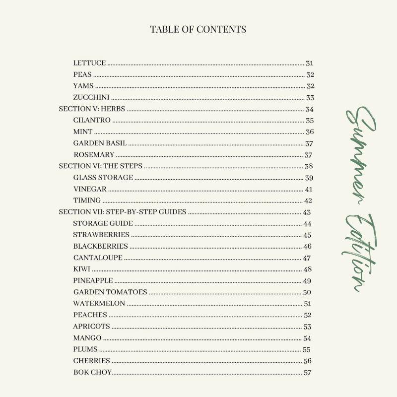 i-bought-it-now-what-summer-edition-table-of-contents-page-2