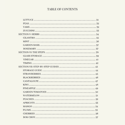 i-bought-it-now-what-summer-edition-table-of-contents-page-2