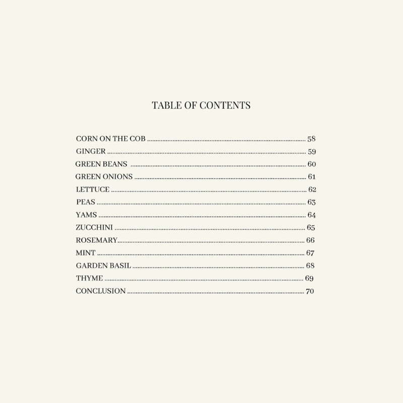 i-bought-it-now-what-summer-edition-table-of-contents-page-3